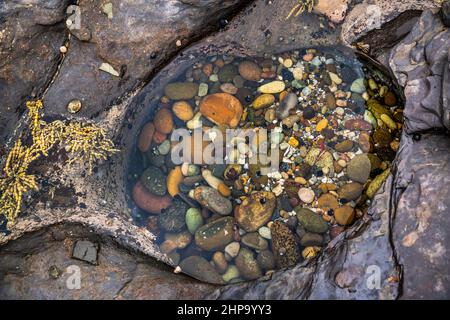 Galets dans une piscine de roche à la plate-forme intertidale de Depot Beach, parc national de Murramarang sur la côte de Soth de Nouvelle-galles du Sud, Australie Banque D'Images