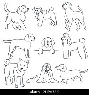 Ensemble de doodle pour chiens. Collection animaux dessinés à la main. Dessin de l'illustration vectorielle isolée des animaux Illustration de Vecteur