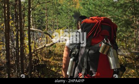 Vue arrière du père.En tasse sont des feuilles d'automne sèches.Voyages en famille.L'environnement des gens par les montagnes, les rivières, les ruisseaux.Les parents et les enfants marchent à l'aide de la Banque D'Images