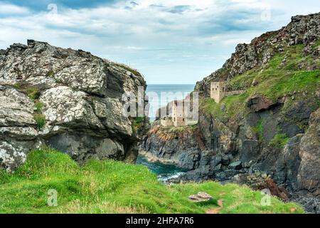 Vue depuis le haut d'une falaise recouverte de fleurs, site classé au patrimoine mondial de l'UNESCO, lors d'une journée d'été calme sur la côte nord de Cornouailles, un lieu de vacances populaire de la National Trust Banque D'Images