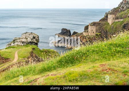 Vue depuis le haut d'une falaise recouverte de fleurs, site classé au patrimoine mondial de l'UNESCO, lors d'une journée d'été calme sur la côte nord de Cornouailles, un lieu de vacances populaire de la National Trust Banque D'Images