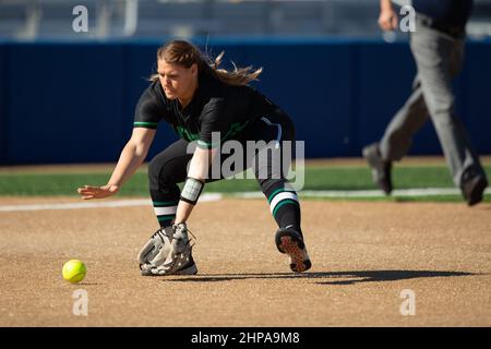 Tayla Evans (22), un infieleur de North Texas Mean Green, a fait une balle contre Tulsa lors du tournoi de softball de McNeese State, le vendredi 11 février 2022, in Banque D'Images