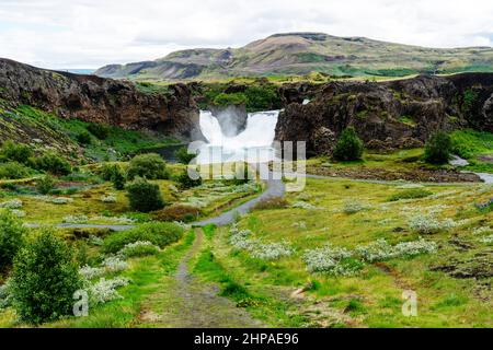 Vue sur les chutes d'eau de Hjalparfoss et le champ de fleurs de la vallée de Thjorsardalur dans les hautes terres au sud de l'Islande. Banque D'Images