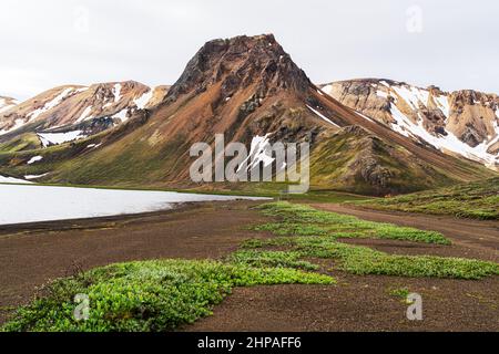 Vue sur la belle montagne enneigée avec le lac en été dans les montagnes, Islande. Banque D'Images