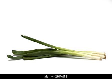 Gros plan des tiges de poireaux blancs verts sur fond blanc comme ingrédient pour l'assaisonnement en cuisine Banque D'Images