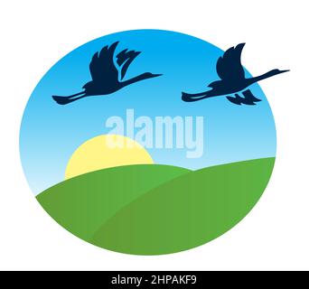 oiseaux volant sur les champs verts - illustration vectorielle Illustration de Vecteur