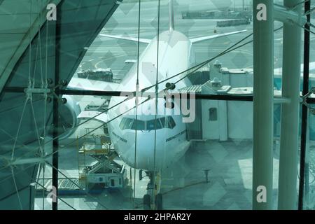 Vue sur le stationnement des avions de ligne Emirates Airlines sur un tablier vu depuis le salon d'attente de la porte d'embarquement à l'intérieur du terminal de l'aéroport international de Dubaï. Personne. Banque D'Images