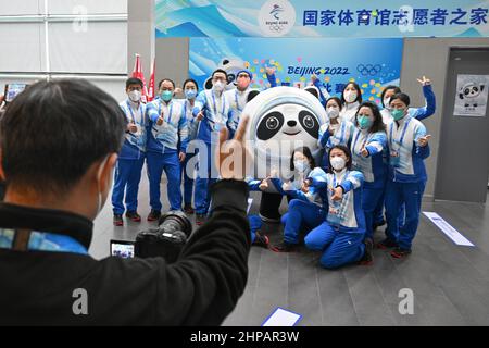 Pékin, Chine. 20th févr. 2022. Jeux Olympiques, Feature, les amateurs de volley ont pris leur photo avec Bing Dwen Dwen, mascotte officielle des Jeux Olympiques d'hiver de 2022. Credit: Peter Kneffel/dpa/Alay Live News Banque D'Images