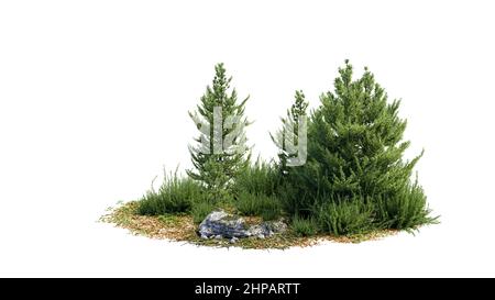 Arbres de découpe. Jardin isolé sur fond blanc. Arbustes décoratifs pour l'aménagement paysager. Masque d'écrêtage disponible pour la composition. 3d rendu Banque D'Images