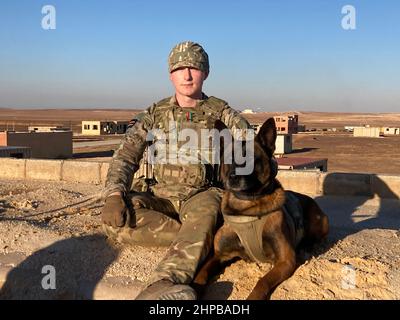 Le soldat Jamie Agnew du 1st Régiment de chiens de travail militaires, corps vétérinaire de l'armée royale, avec le chien de travail militaire Lucy, prenant part à l'exercice Olive Grove avec des troupes de 2 Rifles B Company, à Zarqa dans le nord de la Jordanie, à environ une heure de la capitale Amman jusqu'à la fin du mois de mars. Les soldats d'infanterie basés en Irlande du Nord ont échangé les champs verts contre le désert aride alors qu'ils affûtent leurs compétences avec les forces armées jordaniennes. Date d'émission : dimanche 20 février 2022. Banque D'Images