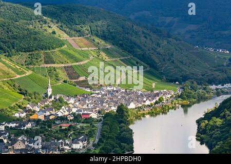 Vue sur le village d'Ediger-Eller dans la vallée de la Moselle dans l'Eifel en Allemagne en été. Vue depuis les vignobles de Calmont. Banque D'Images