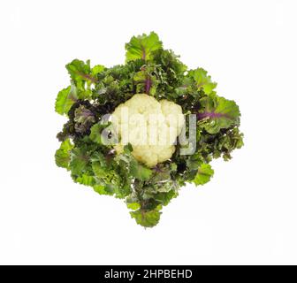Chou-fleur frais et Kalettes disposées en cercle Banque D'Images
