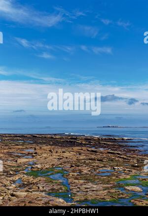 Low Tide at Seahouses sur la côte de Northumberland, qui donne sur les îles Farne lors d'une journée de Summers brillant en juin. Banque D'Images