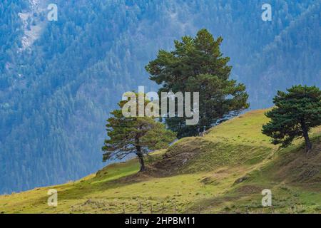 Beau paysage de la région montagneuse de Géorgie, Tusheti Banque D'Images
