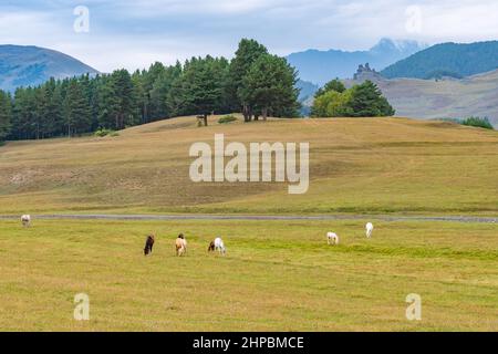 Beau paysage de la région montagneuse de Géorgie, Tusheti Banque D'Images