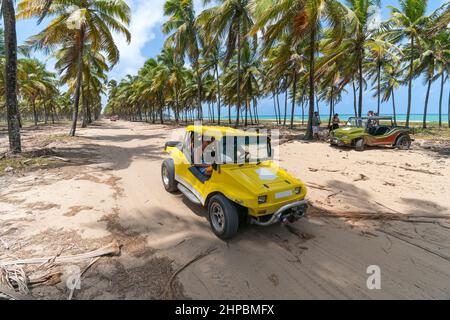 Ipojuca, PE, Brésil - 15 octobre 2021 : buggy touristique à la Rota dos Coqueiros. Promenade en buggy, une attraction touristique de la plage de Maracaipe. Banque D'Images