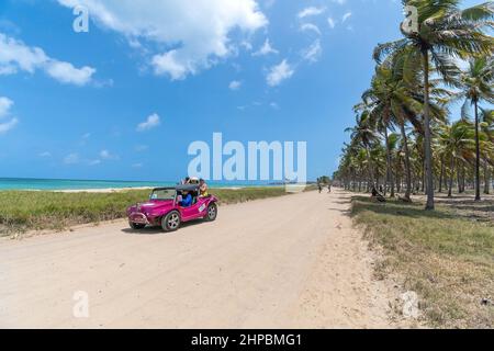 Ipojuca, PE, Brésil - 15 octobre 2021 : buggy touristique sur la plage de Maracaipe, à côté de la Rota dos Coqueiros. Promenade en buggy, une attraction touristique de Maracaip Banque D'Images