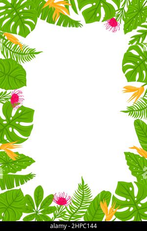 Cadre vertical de feuilles tropicales, palmiers, plantes, fleurs, monstère. Plantes exotiques botaniques éléments. Illustration vectorielle isolée sur fond blanc. Illustration de Vecteur