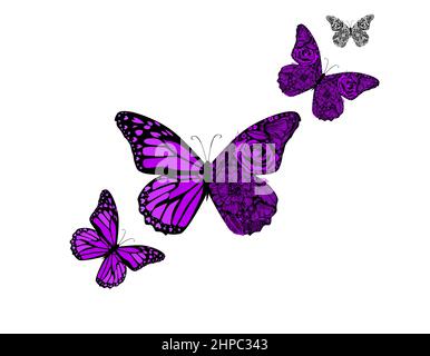 Papillon violet de motifs. Illustration vectorielle à motifs pour tatouages, affiches ou imprimés. Esquisse dessinée à la main. Collection d'insectes. Illustration de Vecteur