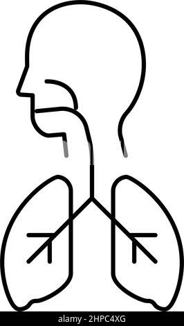 illustration vectorielle de l'icône de la ligne des poumons sains Illustration de Vecteur