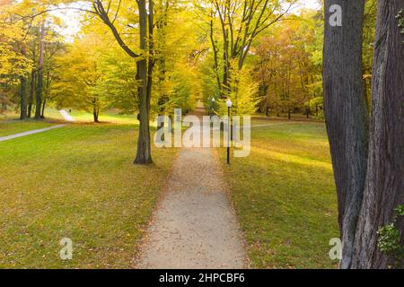 Allée du parc à l'automne. C'est un jour ensoleillé, les arbres ont des feuilles jaunes. Photo prise à partir d'une hauteur à l'aide d'un drone. Banque D'Images