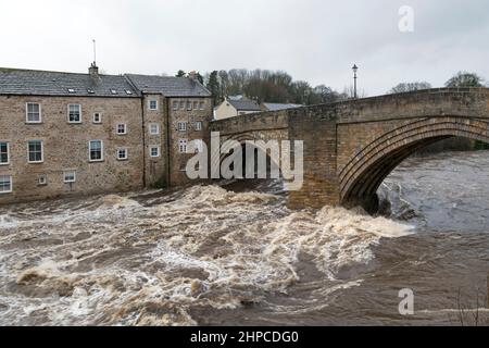 River Tees, Barnard Castle, Teesdale, comté de Durham, Royaume-Uni. 20th février 2022. Météo Royaume-Uni. Avec un avertissement météorologique jaune dans les courses d'eau de crue de force sous le pont de comté dans le château de Barnard. Crédit : David Forster/Alamy Live News Banque D'Images