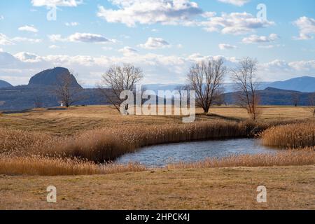 Décharge de radovesice, vestige recultivé de l'extraction de bandes de charbon. Petit lac et vue sur la colline de Bořeň. Banque D'Images