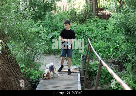 Petit garçon et chien de compagnie préféré coker ami de spaniel Charles marchant dans le jardin, arbres, verdure sur le pont en bois. Banque D'Images