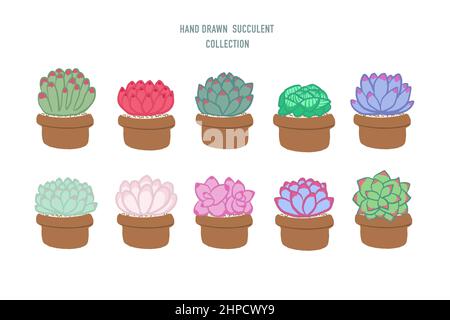 Ensemble de succulents isolés et colorés dessinés à la main Illustration de Vecteur