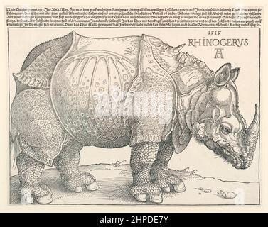 Rhinocéros de Dürer 1515 gravure d'un rhinocéros indien qui a visité Lisbonne en 1513 par Alberto Dürer (1471-1528) montrant une représentation fantastique d'un rhinocéros indien que Dürer n'a jamais vu lui-même. Banque D'Images