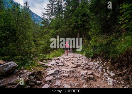 Femme randonneur avec grand sac à dos et bâtons de randonnée nordique ou en forêt sur le chemin rocailleux en été, femelle trekking en solo dans la montagne, Europe Banque D'Images