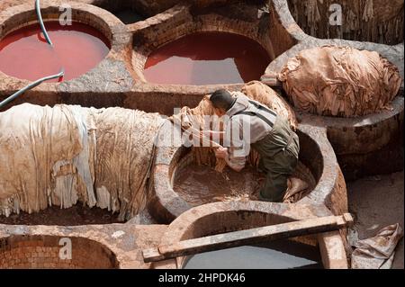 Homme travaillant à l'intérieur des trous de peinture de la célèbre Chouara Tannery dans la médina de Fès. La tannerie en cuir date du 11th siècle après J.-C. Banque D'Images