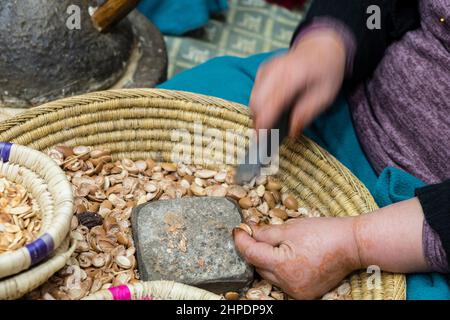 Gros plan de la femme marocaine craquant des noix d'argan pour extraire des kernals d'argan pour faire de l'huile d'argan Banque D'Images