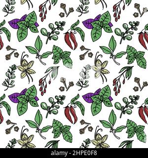 Motif d'herbes sans couture, élément dessiné dans le style des caniches. Cuisine culinaire. Herbes et épices - Chili, vanille, barberry, romarin, feuille de Laurier, Etc. Pat Illustration de Vecteur