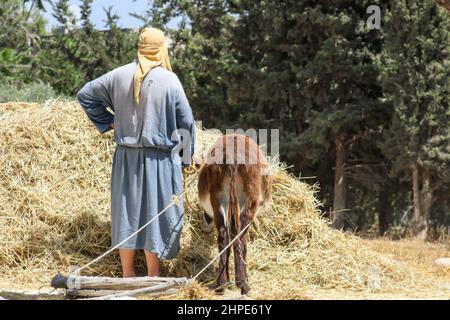 Un acteur interprète un siècle shepherd au Nazareth Village musée en plein air à Nazareth, Israël. Banque D'Images