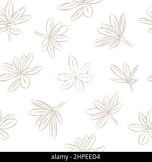 Motif sans couture dans le style des gribouillages botaniques avec brindilles de plantes sur fond blanc. Convient également à l'emballage de papier, de divers textiles Illustration de Vecteur