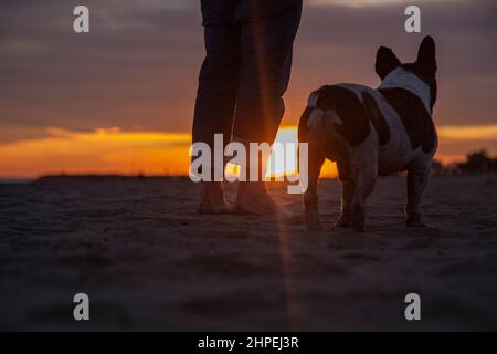 Partie basse de l'homme avec un chien debout à la plage contre le ciel pendant le coucher du soleil Banque D'Images