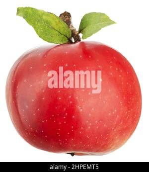 Pomme rouge délicieuse avec des feuilles isolées sur fond blanc Banque D'Images
