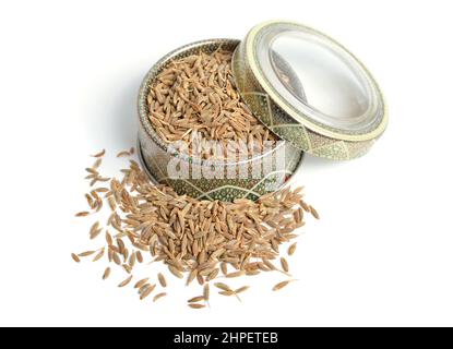 Anis, Pimpinella anisum, également appelé anis ou rarement anix. Isolé sur fond blanc Banque D'Images