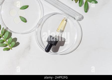 La pipette compte-gouttes contenant de l'huile essentielle se trouve dans la boîte de Pétri avec du gel cosmétique. Vue de dessus, cosmétique liquide. Ingrédients naturels aux herbes. Banque D'Images