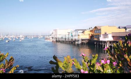Maisons en bois colorées sur des pieux ou des piliers, baie océanique ou port, eau de mer. Old Fisherman's Wharf. Yachts, bateaux à voile à Monterey Marina, côte de Californie Etats-Unis. Promenade touristique en bord de mer, fleurs. Banque D'Images