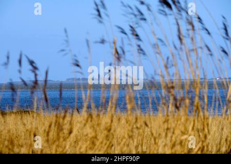 11.02.2022, Cuxhaven, Niedersachsen, Deutschland - Blick ueber das Watt zur Nordseeinsel Neuwerk vom Strand des Ortsteils Duhnen Cuxhaven BEI Ebbe Banque D'Images