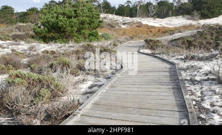 Sentier de promenade en bois, dunes de sable côtières à Monterey, 17 km de route nature, Californie États-Unis. Sentier, passerelle ou espace pieds depuis les planches pour le trekking en pleine nature. Itinéraire touristique, randonnée et écotourisme. Banque D'Images