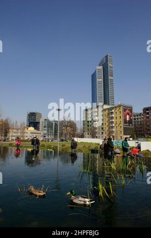 Milan, Italie dans l'étang de la Biblioteca degli Alberi Park, piazza Gae Aulenti, une paire de canards allemands (Anas platyrhynchos). Banque D'Images