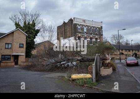 Londres, Royaume-Uni. 21st févr. 2022. Météo au Royaume-Uni : les séquelles de la tempête Eunice. Un gros arbre reste écrasé à travers une clôture endommageant des voitures locales à Deptford, dans le sud-est de Londres, alors que Storm Eunice a frappé la ville vendredi dernier avec des rafales allant jusqu'à 78mph. Credit: Guy Corbishley/Alamy Live News Banque D'Images