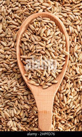 Vue de dessus des grains de seigle dans une cuillère en bois Banque D'Images