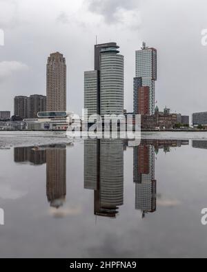 Vue sur le quartier de la jetée de Rotterdam Wilhelmina de l'autre côté de la rivière avec un reflet dans une flaque Banque D'Images