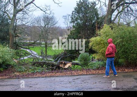 Preston Lancashire. Météo Royaume-Uni. 21 févr. 2022. Un vent d'ouest très fort associé à Storm Franklin provoque des perturbations dans le nord-ouest. Crédit : MediaWorldImages/AlamyLiveNews Banque D'Images