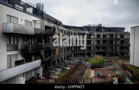 Essen, Allemagne. 21st févr. 2022. La façade en flammes d'un complexe d'appartements. Dans le quartier ouest de la ville, tout un immeuble est en flammes depuis le début de lundi matin. L'incendie a éclaté peu après minuit sur Bargmannstrasse. Les flammes se répandent rapidement sur plusieurs étages. On ne sait toujours pas si des personnes ont été blessées. Credit: Fabian Strauch/dpa/Alay Live News Banque D'Images