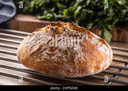 Pain non coupé fraîchement cuit maison. Banque D'Images